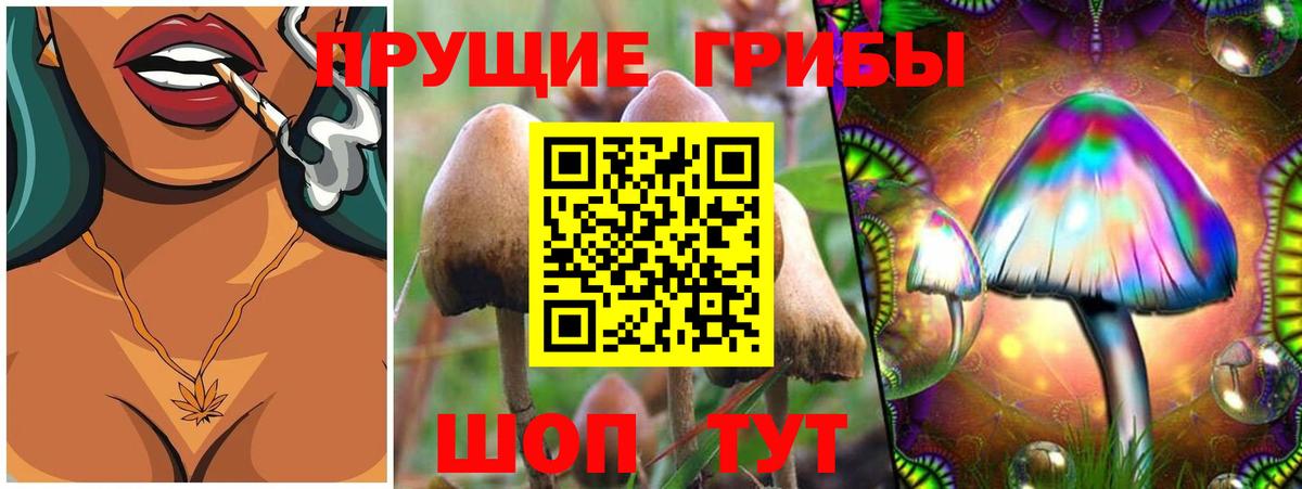 хочу наркоту  Псилоцибиновые грибы Psilocybine cubensis  Вход с VPN  Коряжма 